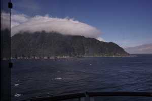 FIORDLAND-NATIONAL-PARK-2019 (218)